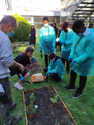 clubpotager